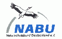 Nabu.gif